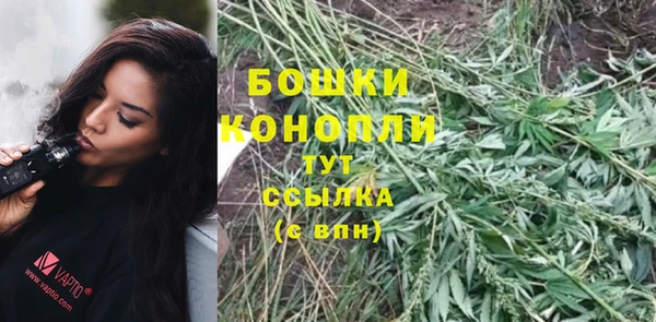 тгк Краснослободск