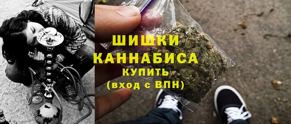 тгк Краснослободск