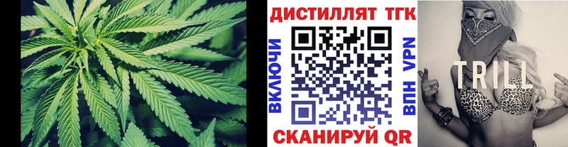 Дистиллят ТГК THC oil  купить наркотики цена  Нелидово 