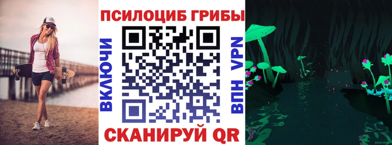 Галлюциногенные грибы Cubensis  Нелидово 